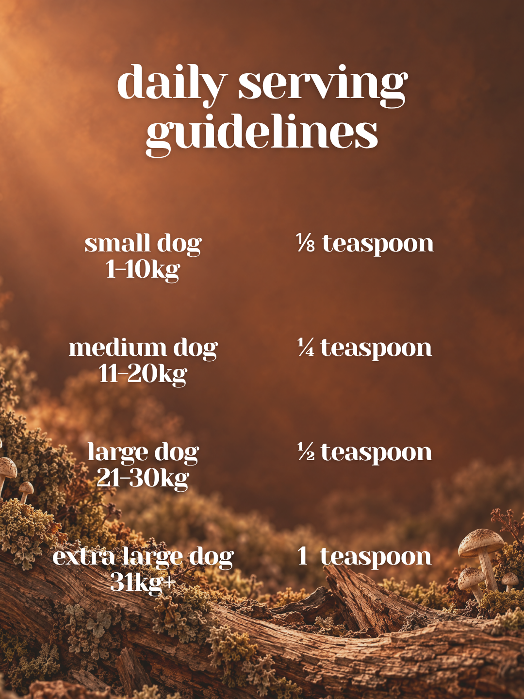 Reishi - Organic Mushroom Calming & Anxiety Support Supplement for Dogs