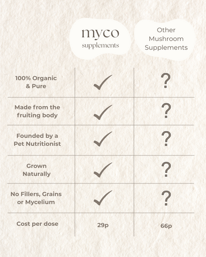 Myco Bundle - ImmuniShroom + Turkey Tail