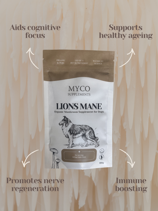 Lion's Mane - Organic Mushroom Cognitive Support Supplement for Dogs