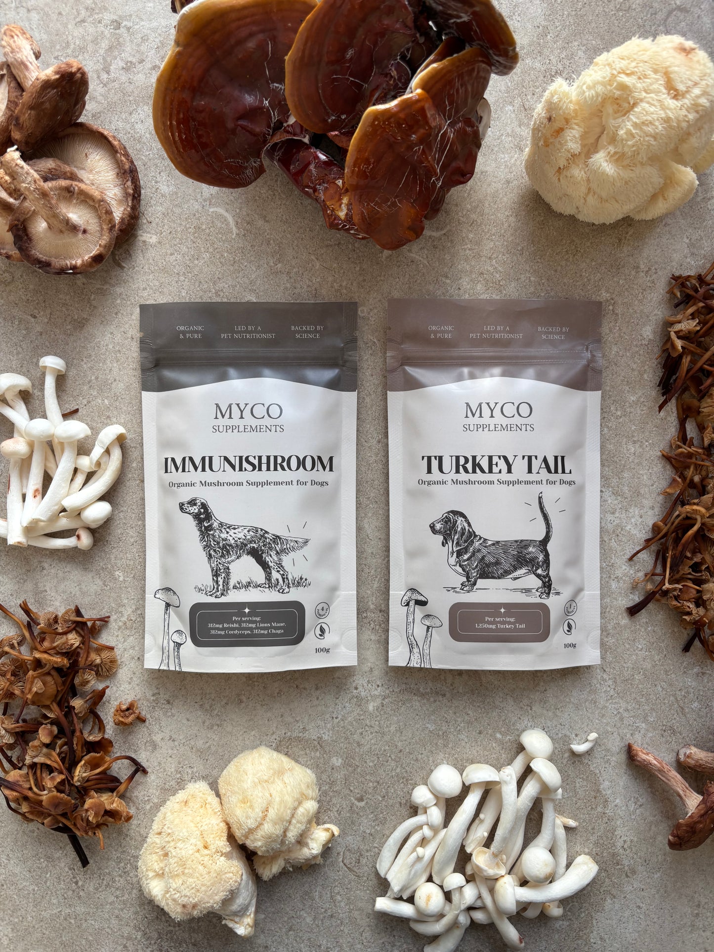 Myco Bundle - ImmuniShroom + Turkey Tail