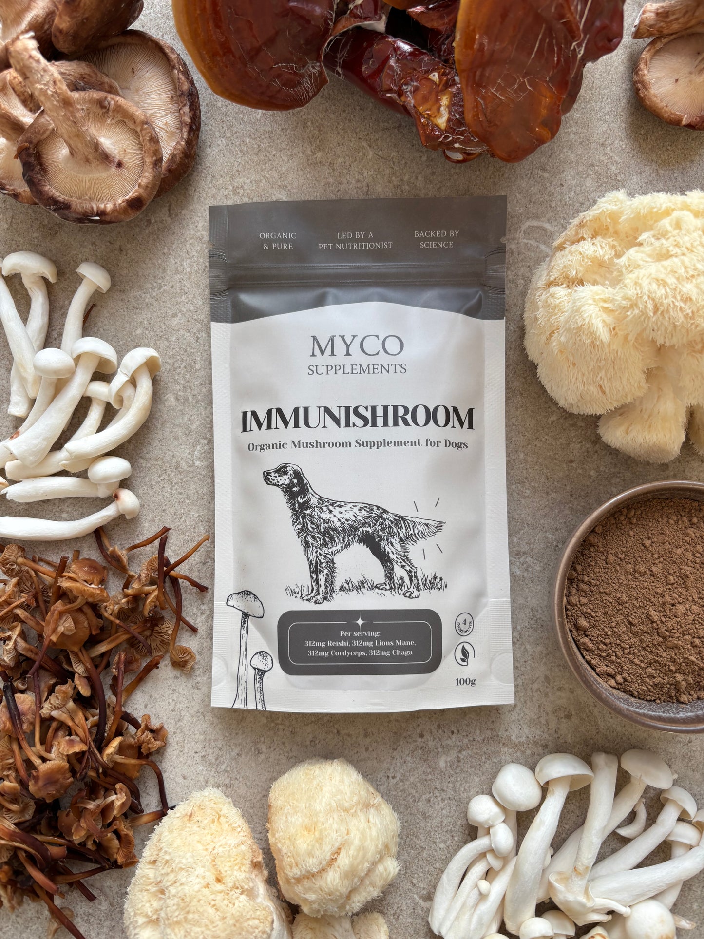 ImmuniShroom - Four Mushroom Blend