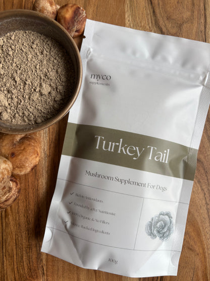Turkey Tail Powder