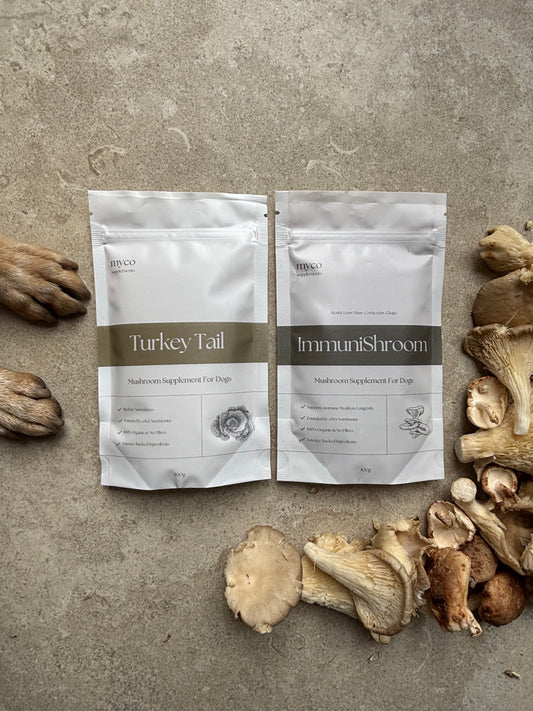 Myco Bundle - ImmuniShroom + Turkey Tail