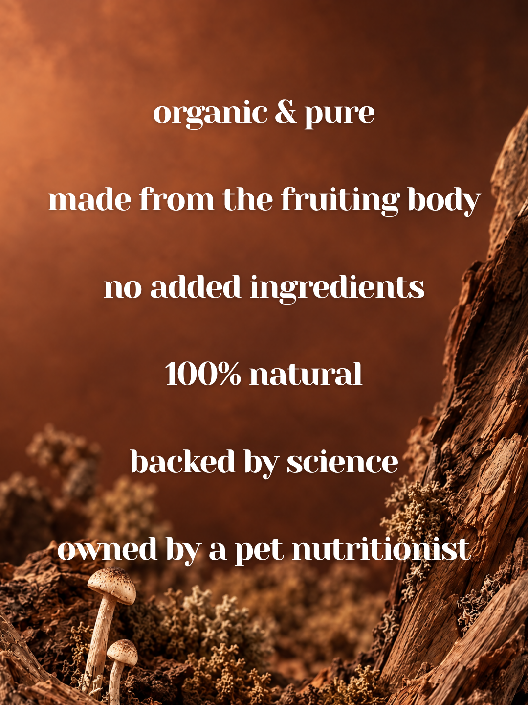 Turkey Tail - Organic Mushroom Immune Support Supplement for Dogs