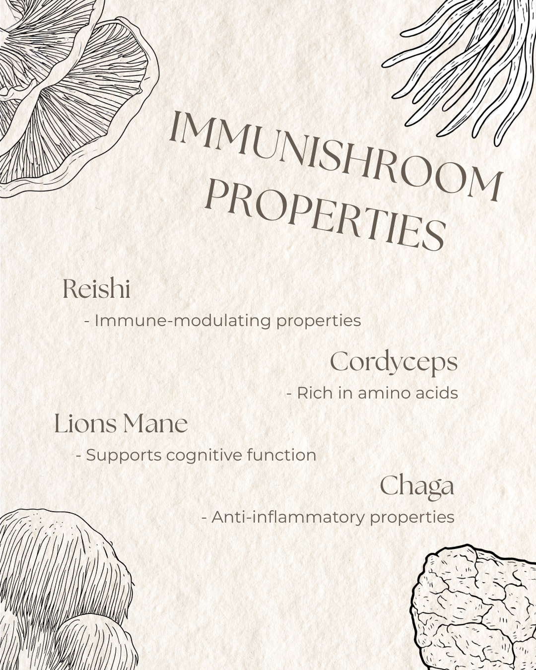 Myco Bundle - ImmuniShroom + Turkey Tail