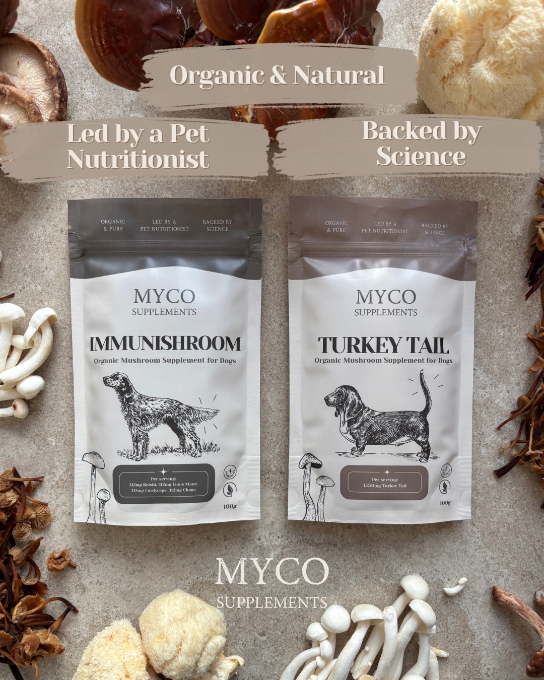 Myco Bundle - ImmuniShroom + Turkey Tail