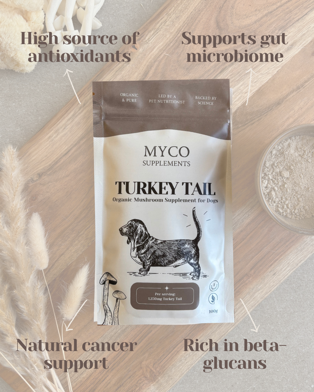 Myco Bundle - ImmuniShroom + Turkey Tail