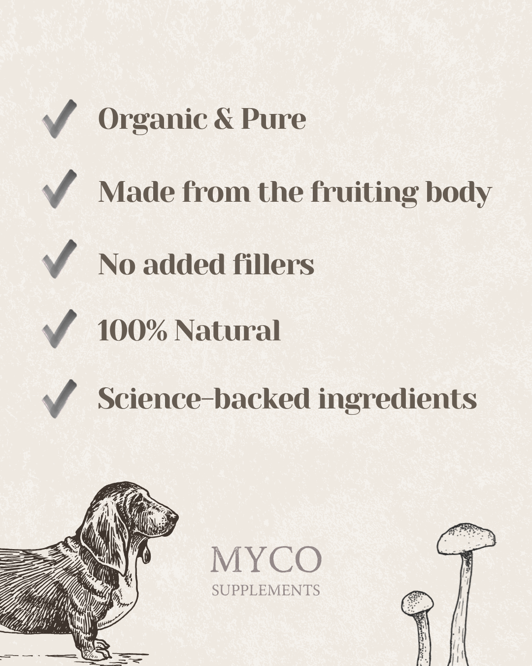 Myco Bundle - ImmuniShroom + Turkey Tail