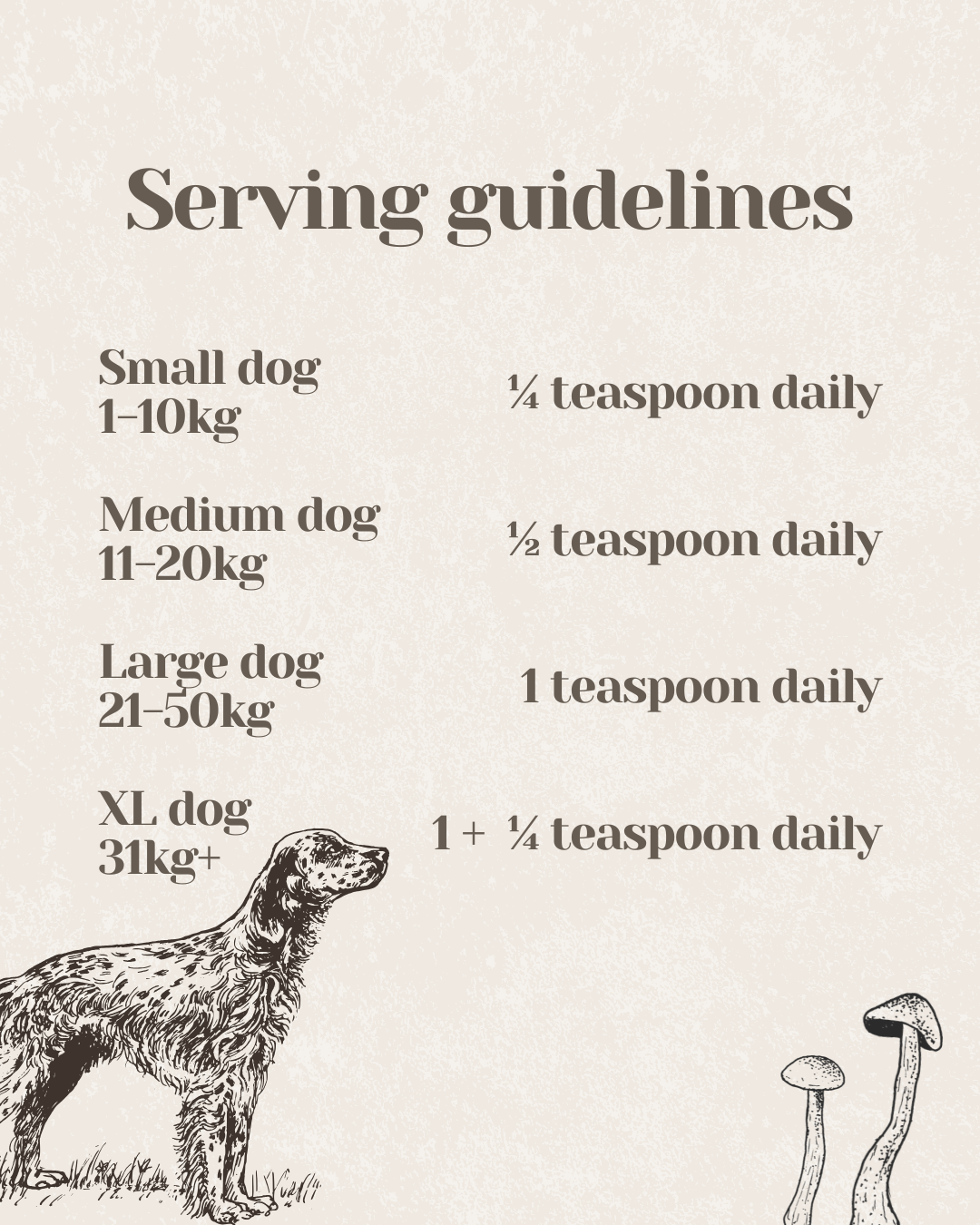 ImmuniShroom - Four Mushroom Blend