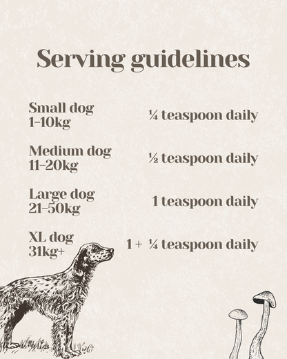 ImmuniShroom - Four Mushroom Blend