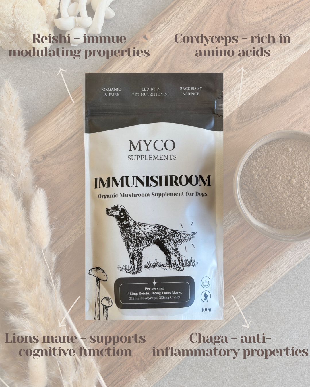 Myco Bundle - ImmuniShroom + Turkey Tail