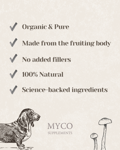 ImmuniShroom - Four Mushroom Blend