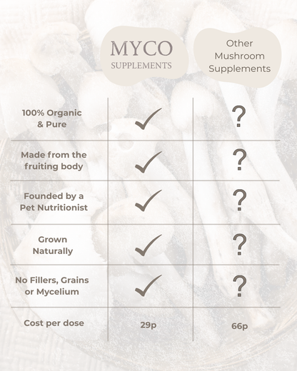 ImmuniShroom - Four Mushroom Blend