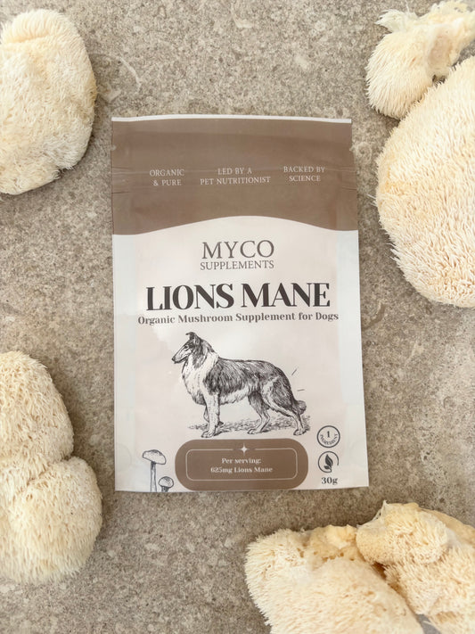 Lion's Mane - Organic Mushroom Cognitive Support Supplement for Dogs