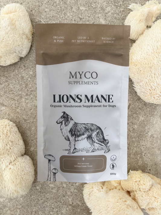 Lion's Mane - Organic Mushroom Cognitive Support Supplement for Dogs