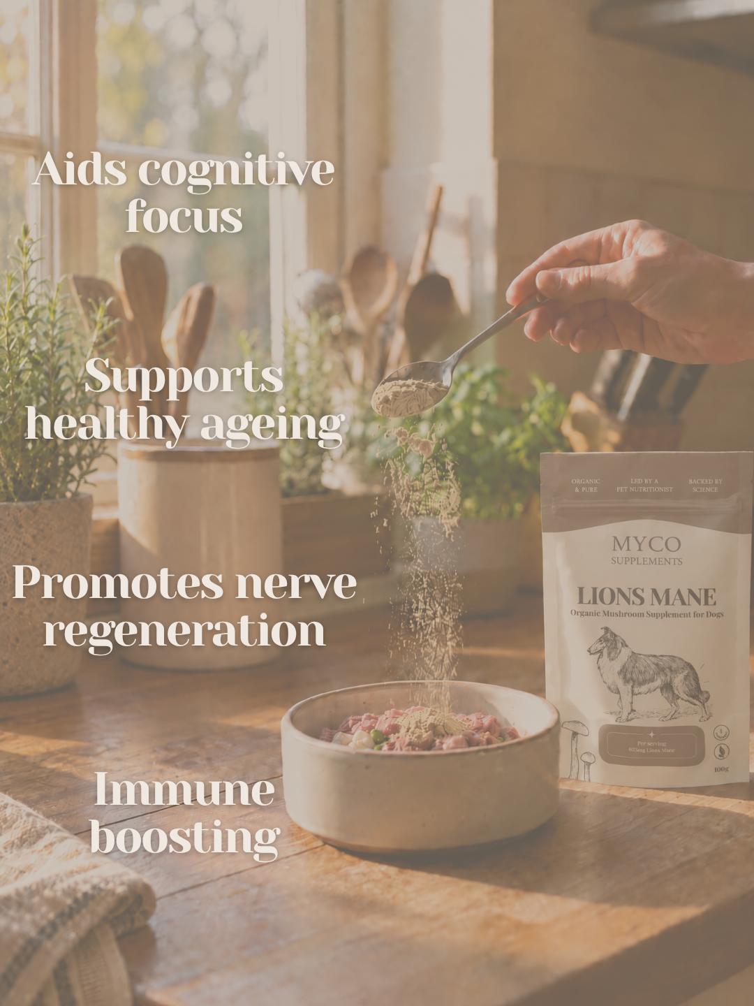 Lion's Mane - Organic Mushroom Cognitive Support Supplement for Dogs
