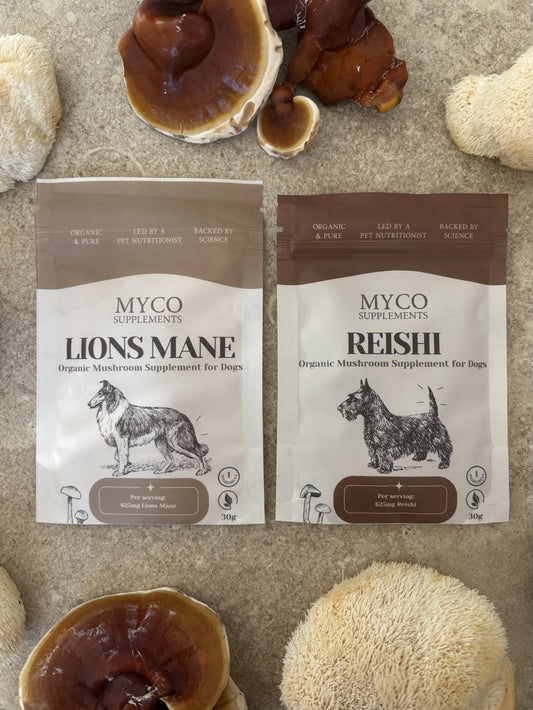 Sample Bundle - Lion's Mane & Reishi - Organic Mushroom Supplement for Dogs