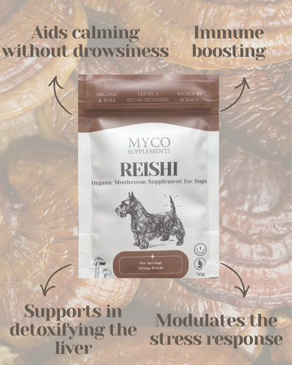 Sample Bundle - Lion's Mane & Reishi - Organic Mushroom Supplement for Dogs