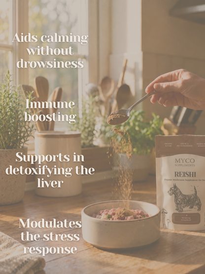 Reishi - Organic Mushroom Calming & Anxiety Support Supplement for Dogs