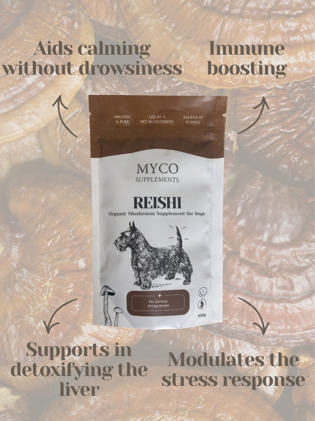 Reishi - Organic Mushroom Calming & Anxiety Support Supplement for Dogs