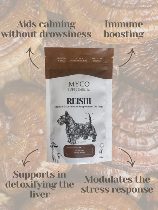 Reishi - Organic Mushroom Calming & Anxiety Support Supplement for Dogs