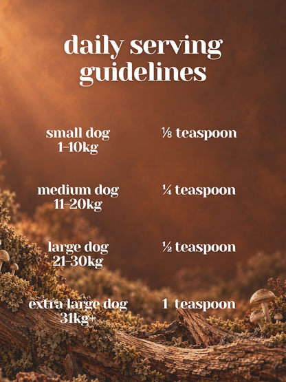 Reishi - Organic Mushroom Calming & Anxiety Support Supplement for Dogs