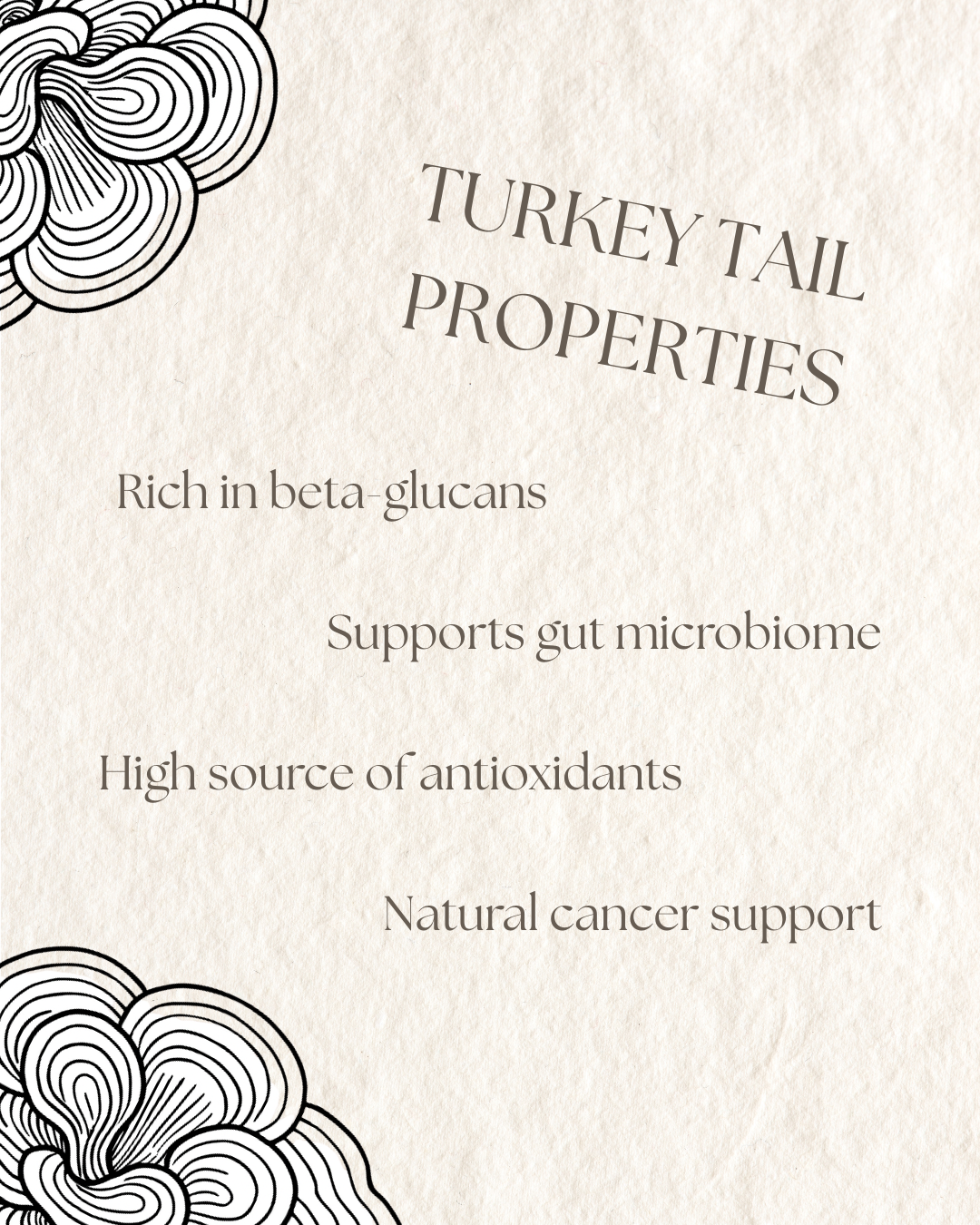 Myco Bundle - ImmuniShroom + Turkey Tail